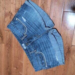 #326 Day Trip Leo Shorts Size 30